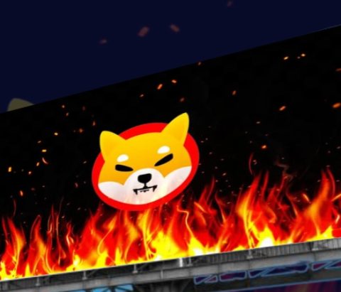 SHIB Burns Surges to Over 8000%: Is Shiba Inu Set To Skyrocket?