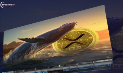 XRP Whale: Big Players Scoop Up 139M On the Dip from Leading Exchange
