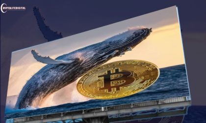 Bitcoin Whales Accumulates 5900 Worth of BTC – Is Recovery on the Horizon