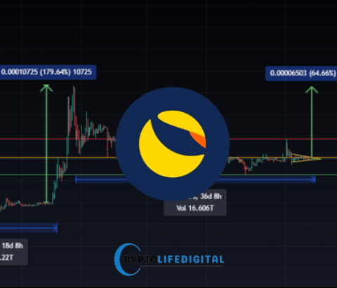 Terraport: Fueling the Next Wave of Terra Classic DeFi