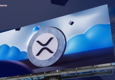 Expert Warns: 95% of XRP Holders Risk Being Left Behind For Ignoring Essential Crypto Principles