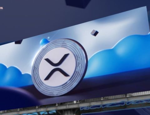 Expert Warns: 95% of XRP Holders Risk Being Left Behind For Ignoring Essential Crypto Principles