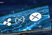 How XRP Could Ascend to $20 Within the Current Market Cycle, Analyst Reveals