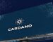 Analyst Insights: Is Cardano Set for a Revolutionary 1,000% Growth?