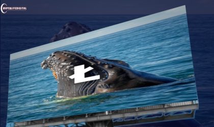 Litecoin is Set to Soar by 40% as Whale Activity Heats Up, Says Analyst