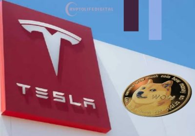 Tesla Plans to Reinstate DOGE Payments