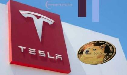 Tesla Plans to Reinstate DOGE Payments