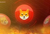 SHIB Burn Rate Hit 14570%, Is Race to $1 On the Horizon?