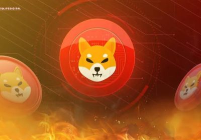 Shiba Inu Burn Rate Surges, What’s Next Move On SHIB Price?