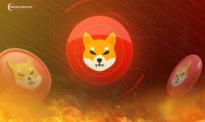 SHIB Burn Rate Hit 14570%, Is Race to $1 On the Horizon?