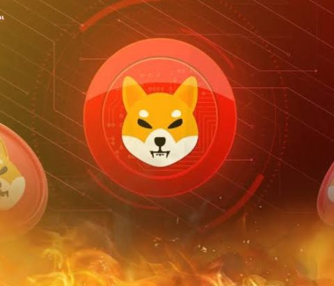 Shiba Inu Unveils Fresh Voting Proposal, But Community Pushes Back On SHIB Burning Plan