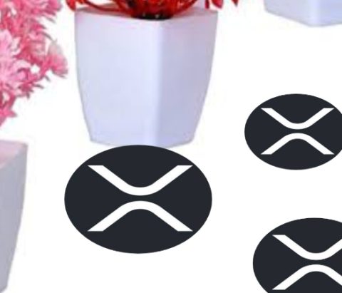 Tokentus CEO Suggests XRP May Receive Unique Classification