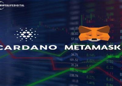 MetaMask Users Can Now Seamlessly Engage with Cardano