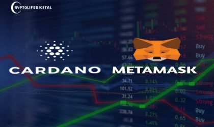 MetaMask Users Can Now Seamlessly Engage with Cardano