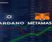 MetaMask Users Can Now Seamlessly Engage with Cardano