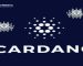 Cardano’s On-Chain Metrics Soar With 4.87 Million Wallets and Counting