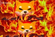 Shiba Inu Coin Set For an Explosive Rally As SHIB Burn Rate Soars