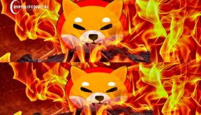 Shiba Inu Coin Set For an Explosive Rally As SHIB Burn Rate Soars