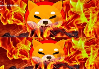 Shiba Inu Marketing Lead, Lucie Declares Devs Unable to Change Supply, Unveils Plan for Major SHIB Burn