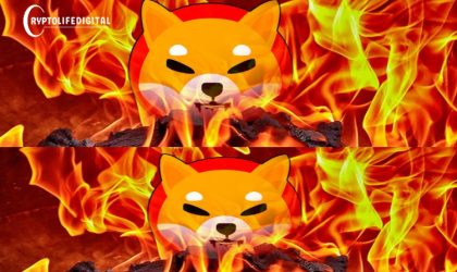 Shiba Inu Burn Rate Skyrockets by Massive 1664% After 250,000,000 SHIB Destroyed