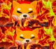 Shiba Inu Marketing Lead, Lucie Declares Devs Unable to Change Supply, Unveils Plan for Major SHIB Burn