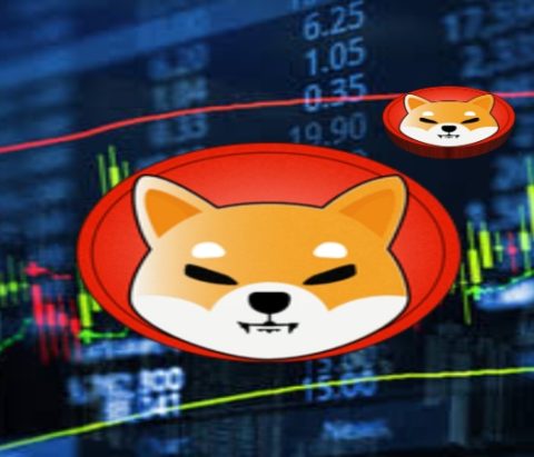 SHIB Price Brace For Impact as Second Liquidity Run In Less Than a Month Sparks Price Swings