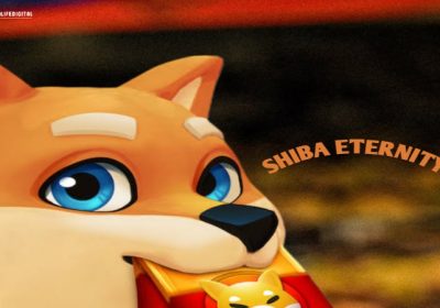 Shiba Inu Shares Winning Strategies for the Shiba Eternity Tournament