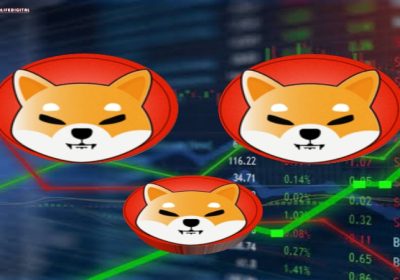 Shiba Inu Smashes Projected Timeline, Surges to $0.000045 Ahead of Schedule