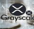 Grayscale XRP Trust Placement Now Available for Eligible Accredited Investors