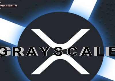 Grayscale XRP Trust Has Impressive 11.7% Growth in its NAV, Indicating a Strong Performance