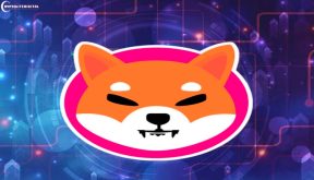 Shiba Inu Token Ecosystem Poised For a Major Transformation, Says SHIB Executive