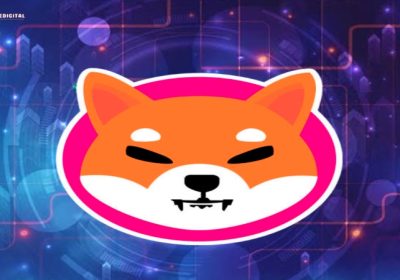 Shiba Inu Team Unveils Major Update On Shib the Metaverse Launch, Ignites Enthusiasm for the Future