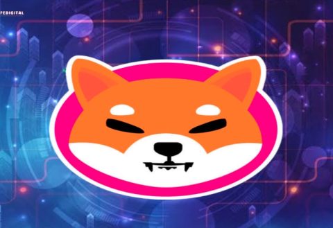 Shiba Inu Token Ecosystem Poised For a Major Transformation, Says SHIB Executive