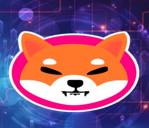 Shiba Inu Overtakes Bitcoin and Ethereum in Long-Term Holder Ratio