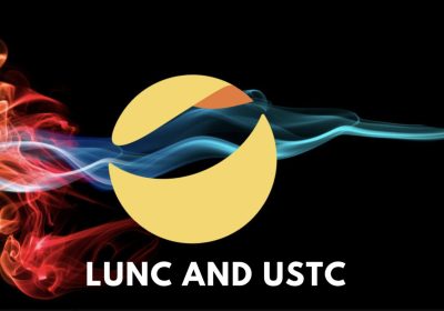 Terra Classic Community Expert Reflects On LUNC and USTC Price Volatility