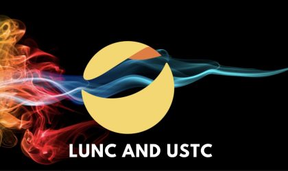 The Future of USTC: Fight for Binance Listing or Accept Delisting?