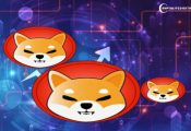 Shiba Inu Lead Responds To Worries About Ownership of Billion Dollar SHIB Wallets