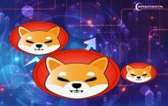 Shiba Inu Lead Responds To Worries About Ownership of Billion Dollar SHIB Wallets