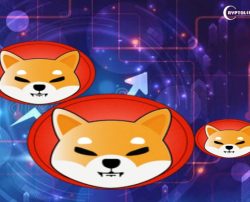 Shiba Inu Shows Resilience Amid a Divided Market Landscape