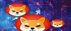 Shiba Inu Lead Responds To Worries About Ownership of Billion Dollar SHIB Wallets