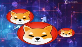 Shiba Inu Shows Resilience Amid a Divided Market Landscape