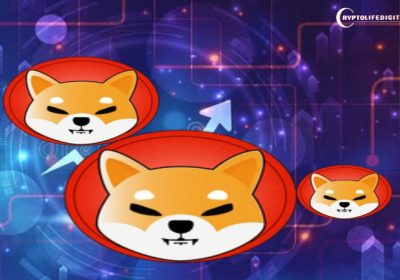 Shiba Inu Lead Responds To Worries About Ownership of Billion Dollar SHIB Wallets