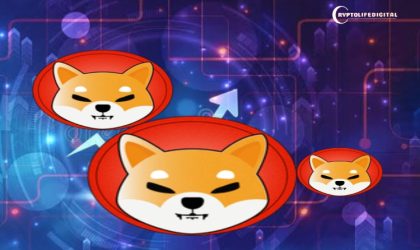 Shiba Inu Lead Responds To Worries About Ownership of Billion Dollar SHIB Wallets