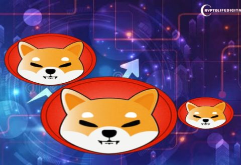 Shiba Inu Lead Responds To Worries About Ownership of Billion Dollar SHIB Wallets