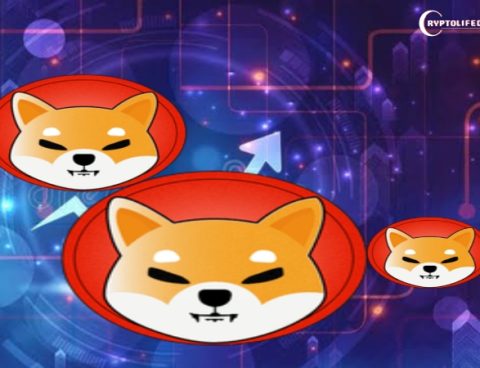 Shiba Inu Shows Resilience Amid a Divided Market Landscape