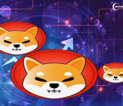 Shiba Inu Warns of Rising Scams Amidst Price Surge