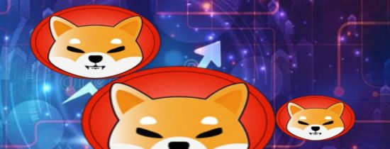 Shiba Inu Shows Resilience Amid a Divided Market Landscape