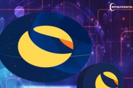 The Importance of Cross-Chain Functionality in: How Terraport is Changing the Game