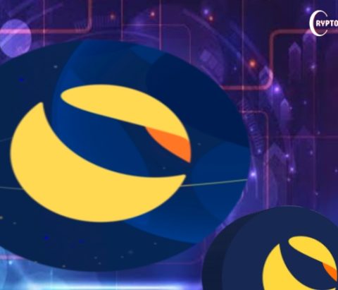 Terraform Labs Opens Claims Portal for Crypto Losses