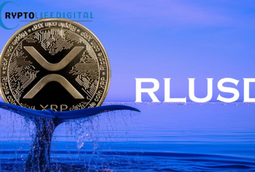 Abu Dhabi Approves RLUSD for Institutional Use in Major Finance Milestone